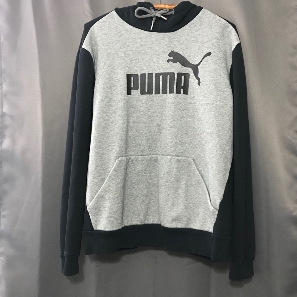 Puma Graphic Hoodie